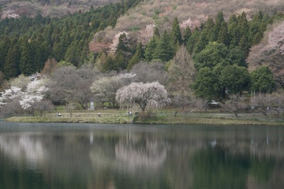 080413_01