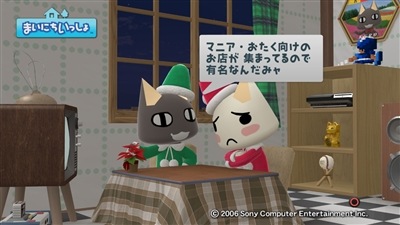 081224_t42