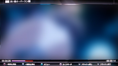 100630_t04